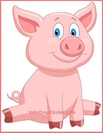 Babi-cute-pig-cartoon.jpg