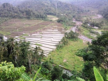 Rice-field-terrace-kekeran-64.jpg