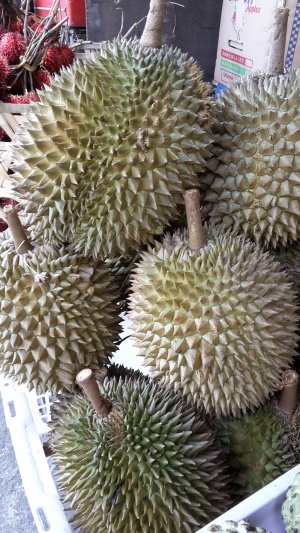Durian whole.jpg