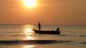 Boat-fisherman-fishing-63642.jpg
